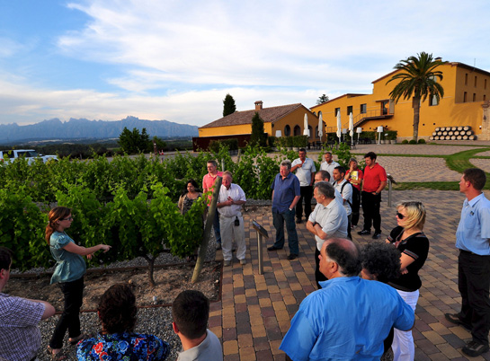 Escapada Enoturismo Can Bonastre Special Wine Torism Pack